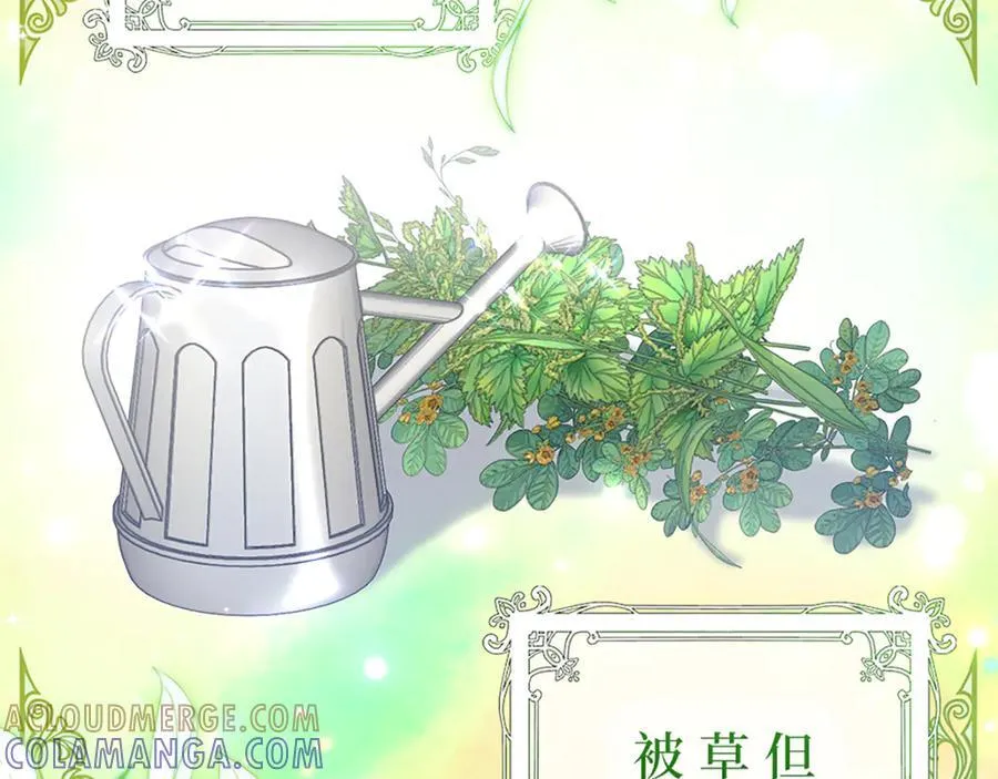 第264页