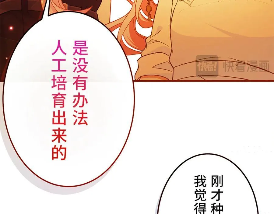 第531页