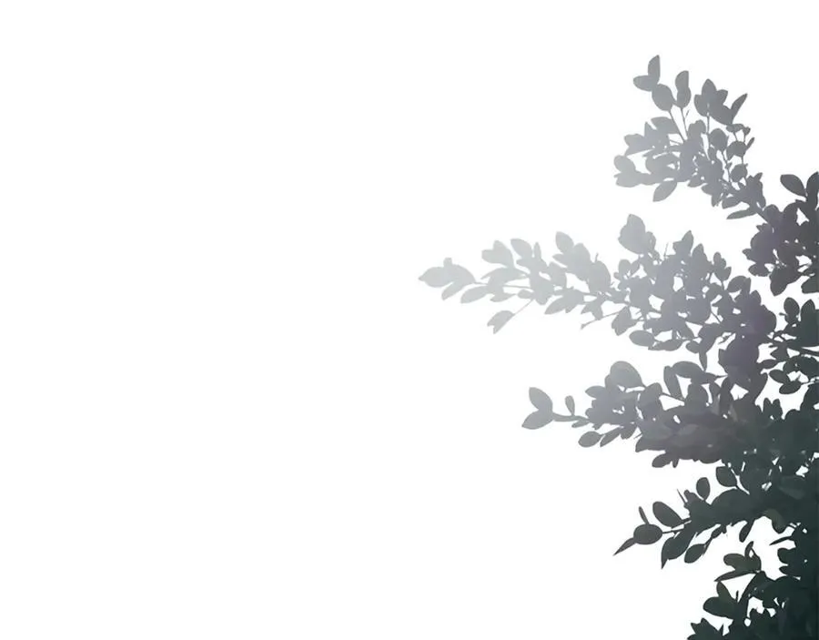 第315页