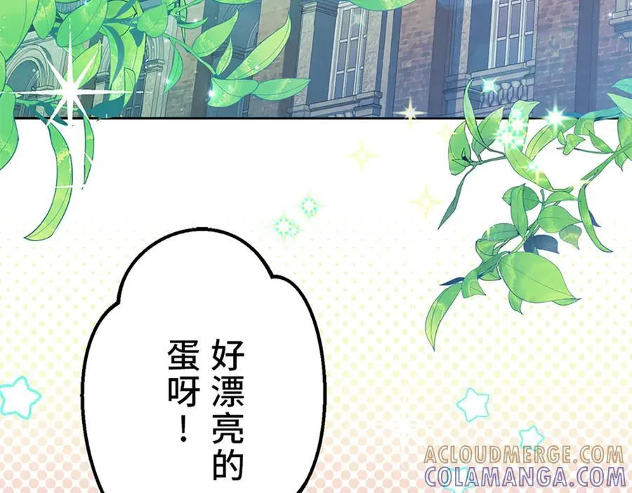 第240页
