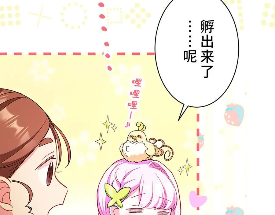 第429页