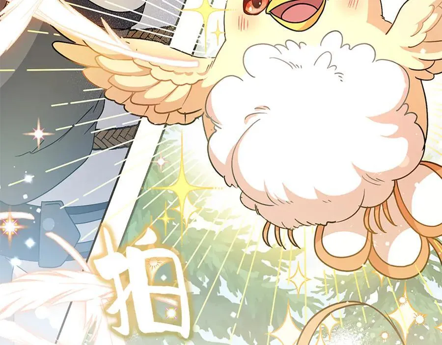 第258页