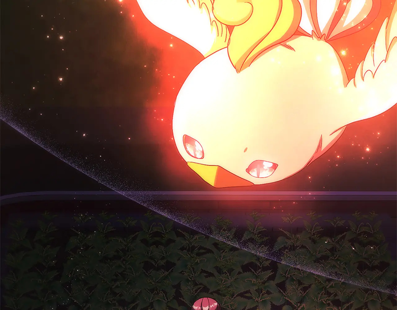 第555页