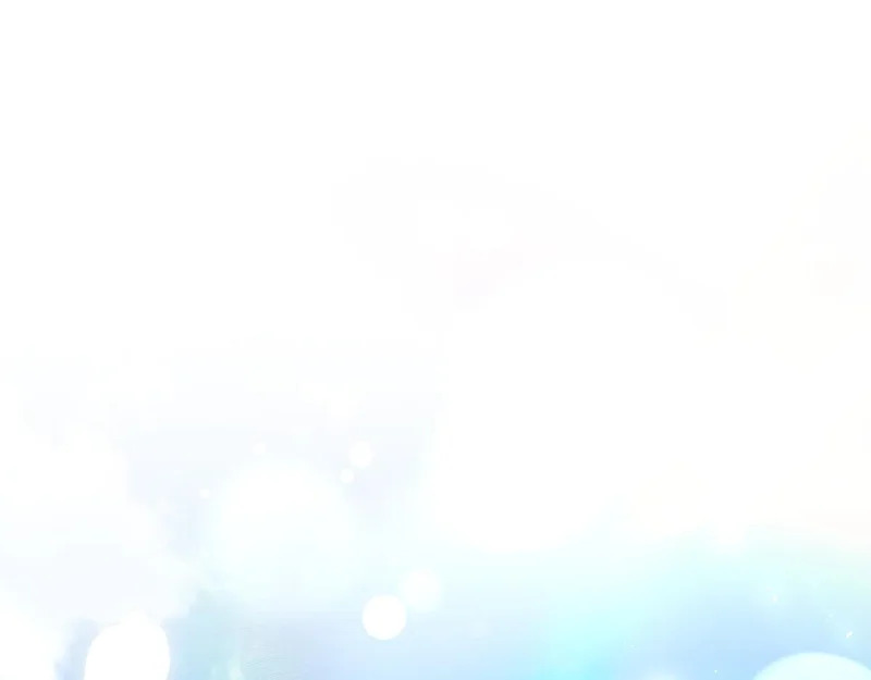 第537页