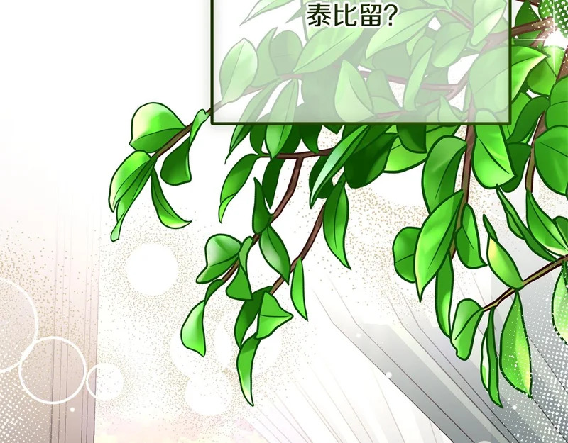 第243页
