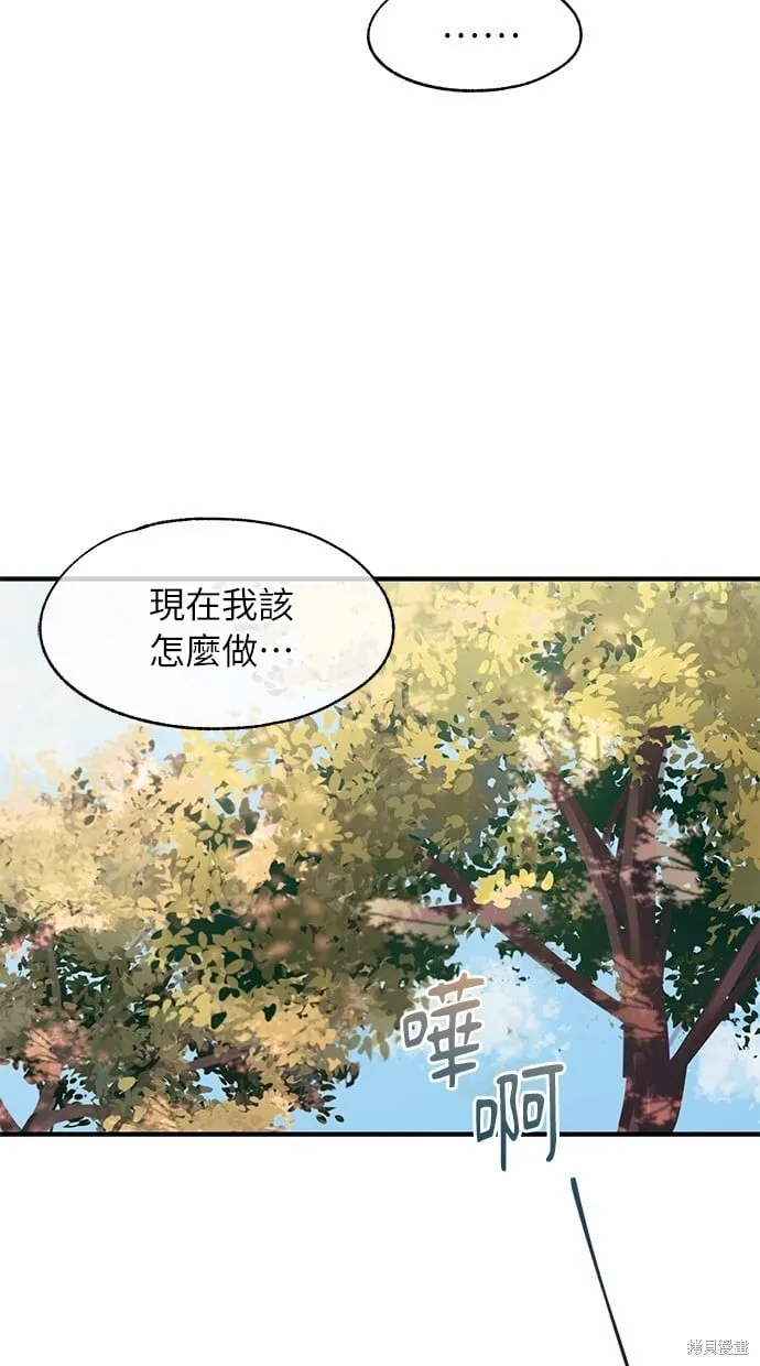 第204页