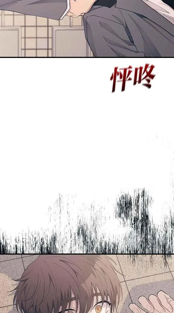 第258页