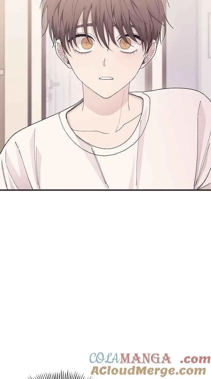 第252页