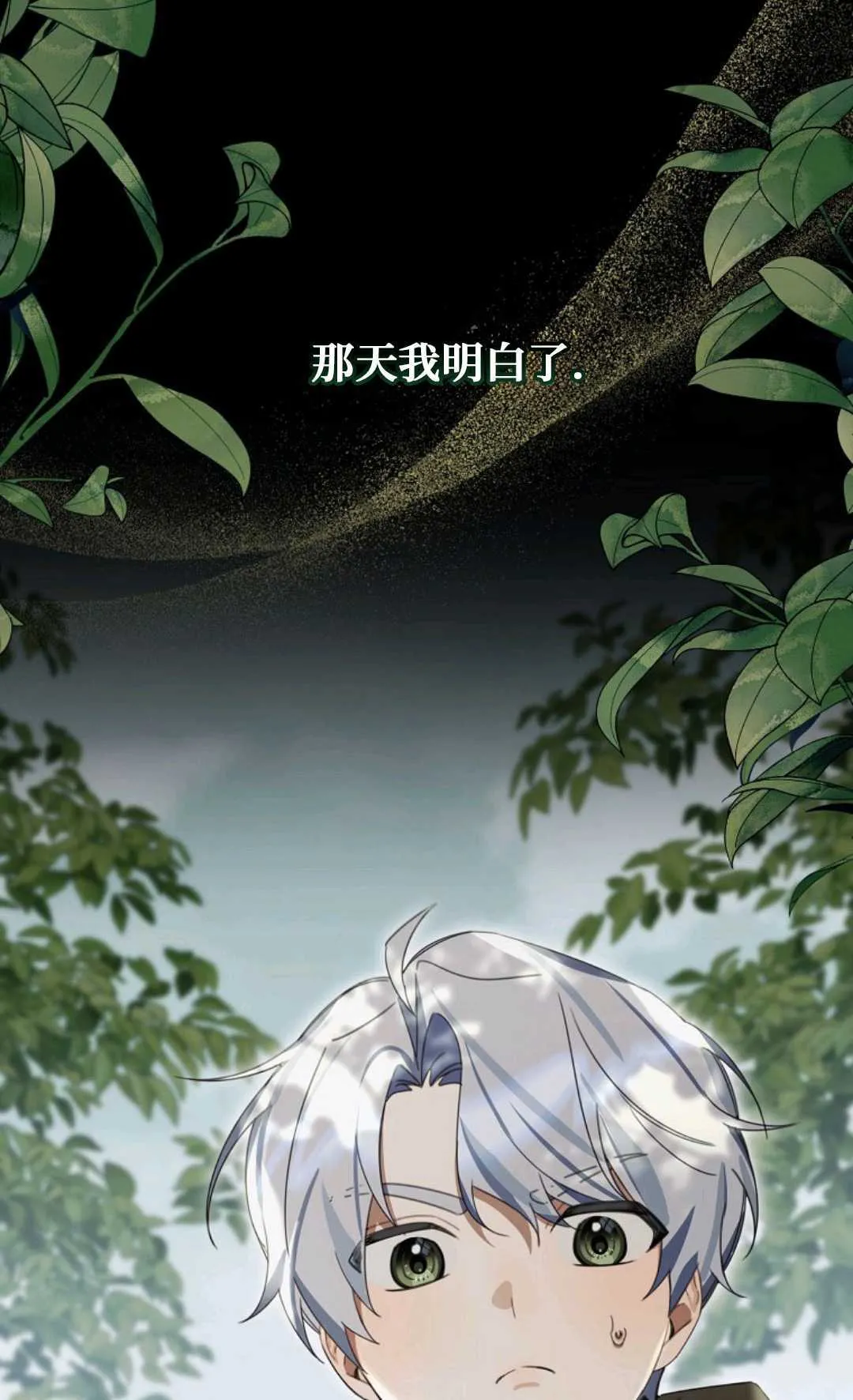 第192页