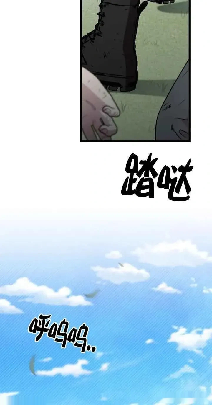 第231页