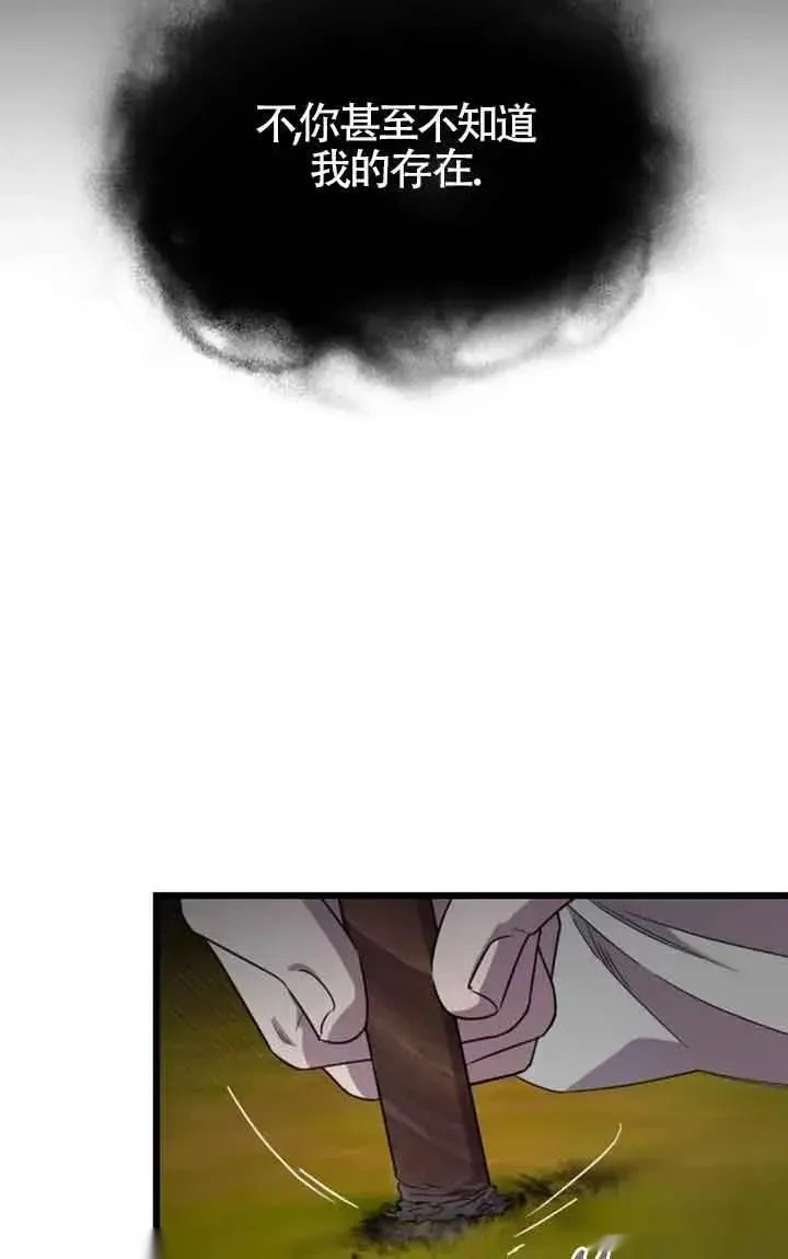 第243页