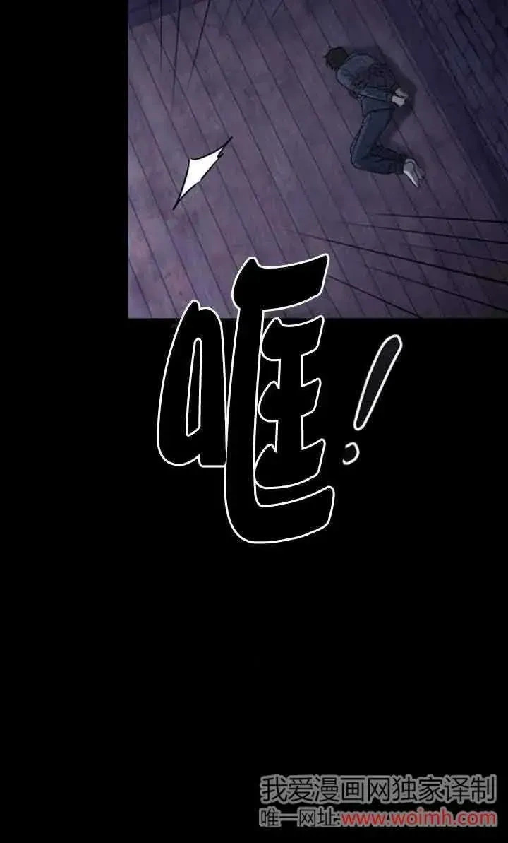 第333页