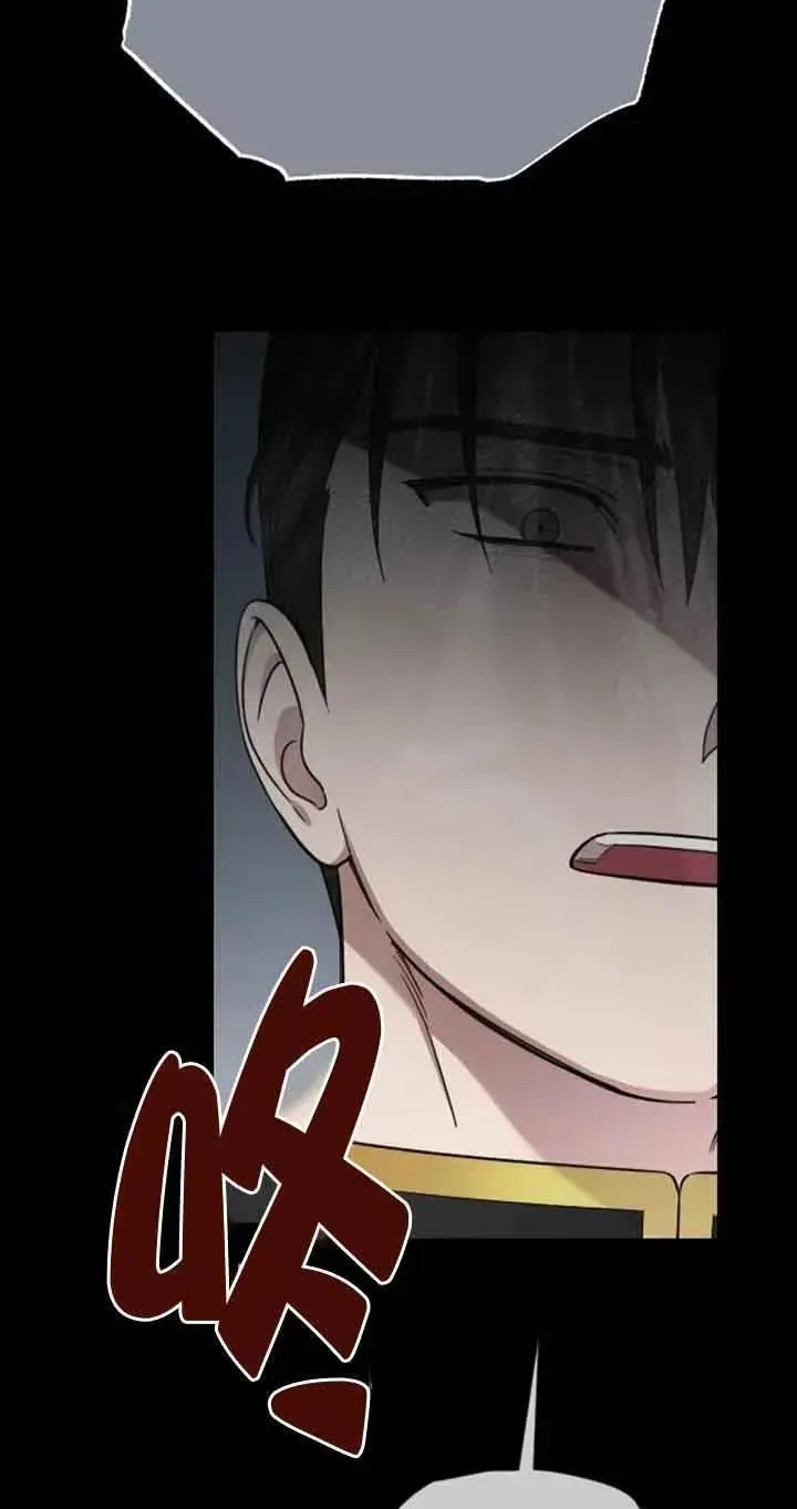 第258页