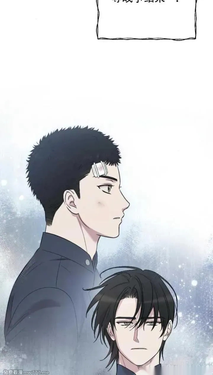 第321页