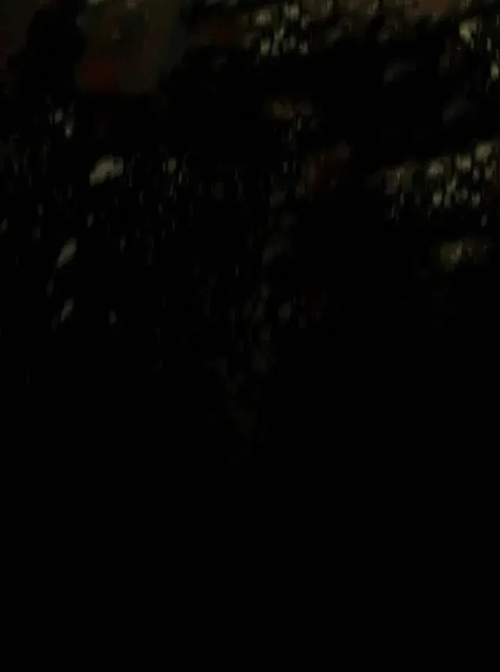 第429页