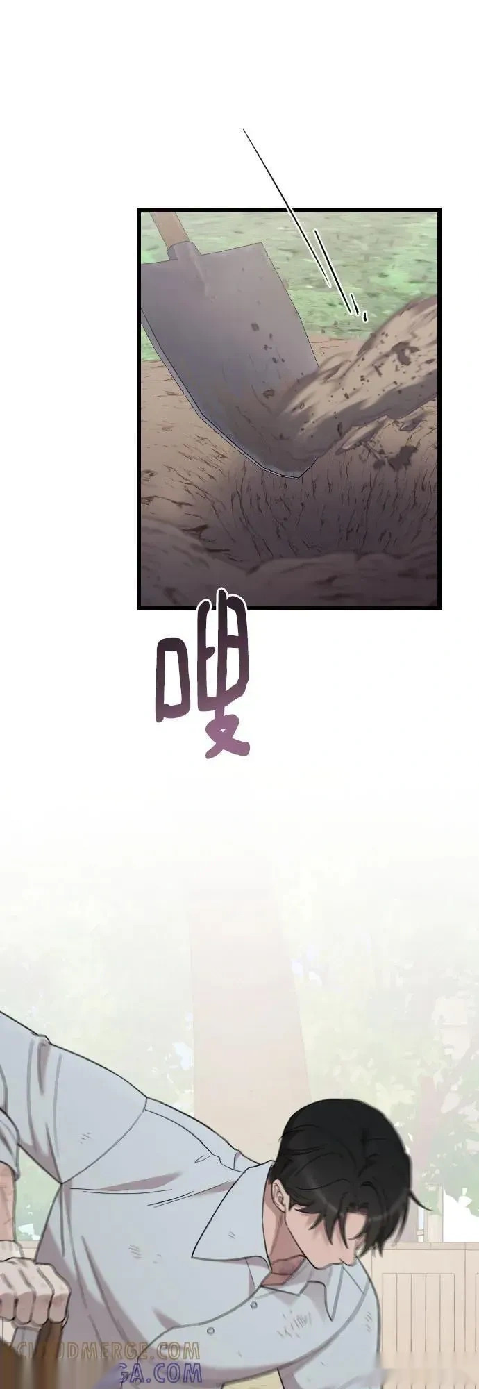 第243页