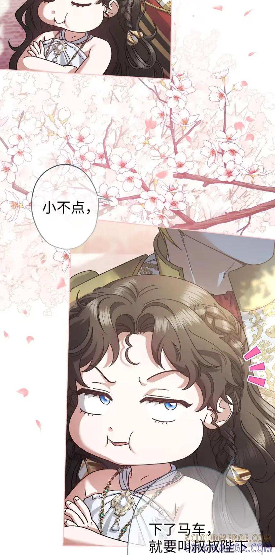 第204页
