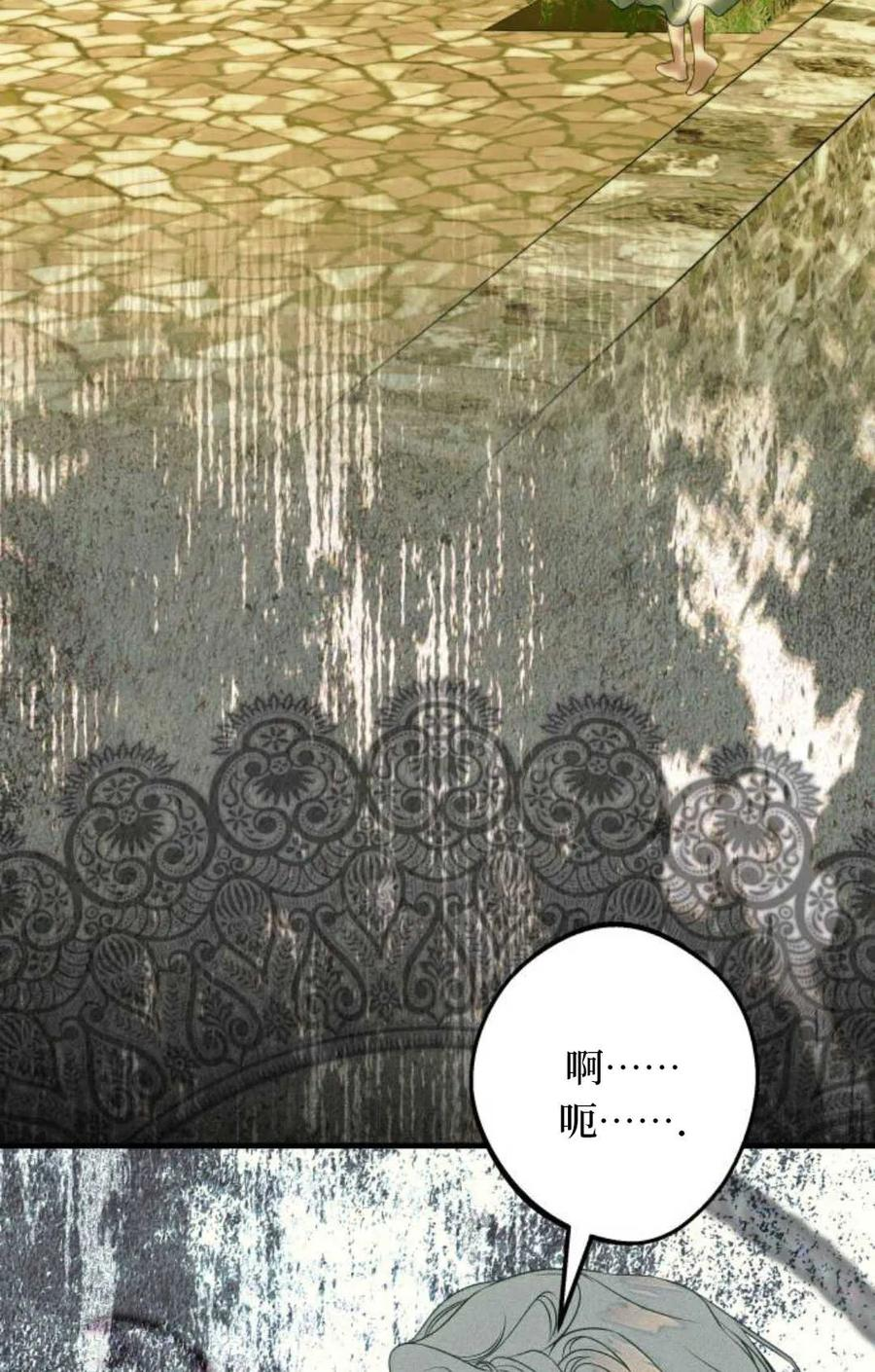 第213页