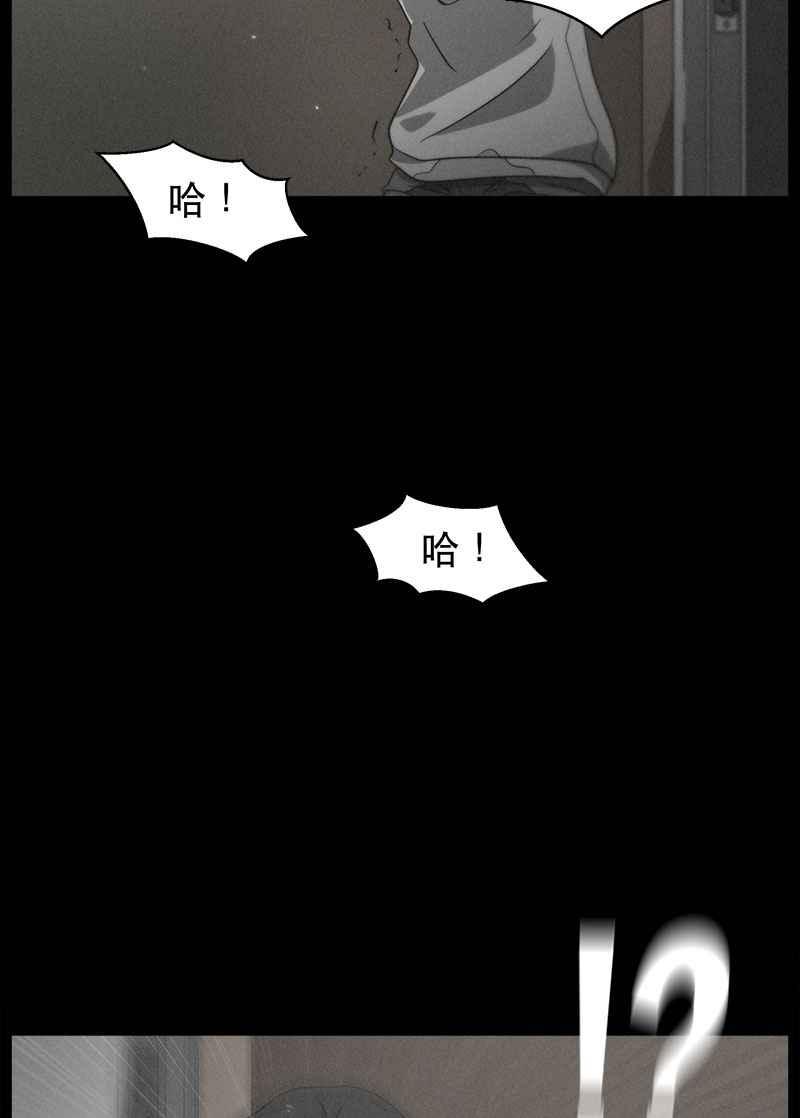 第393页