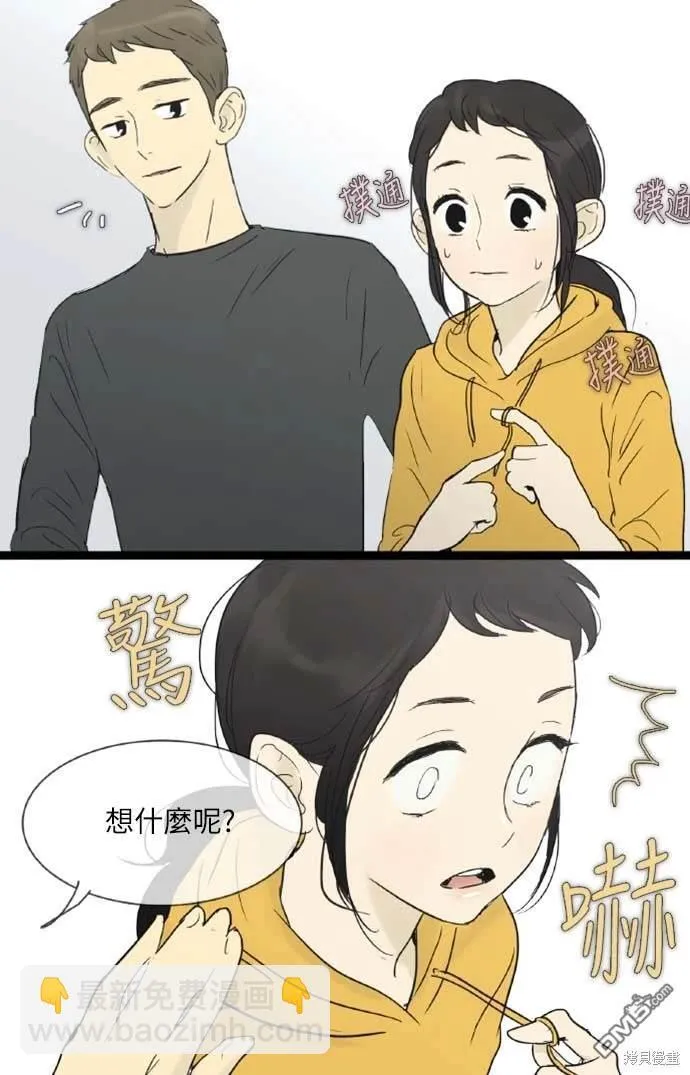 第234页