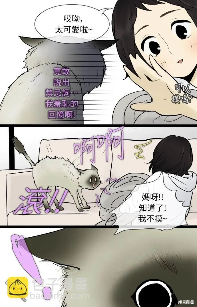第216页