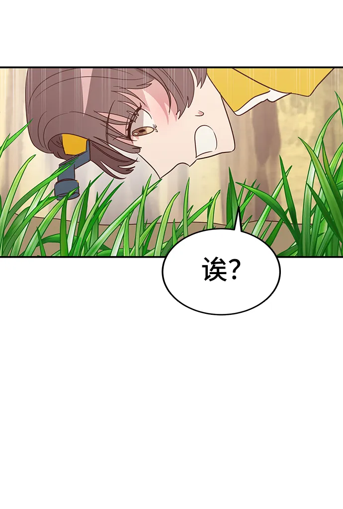 第243页