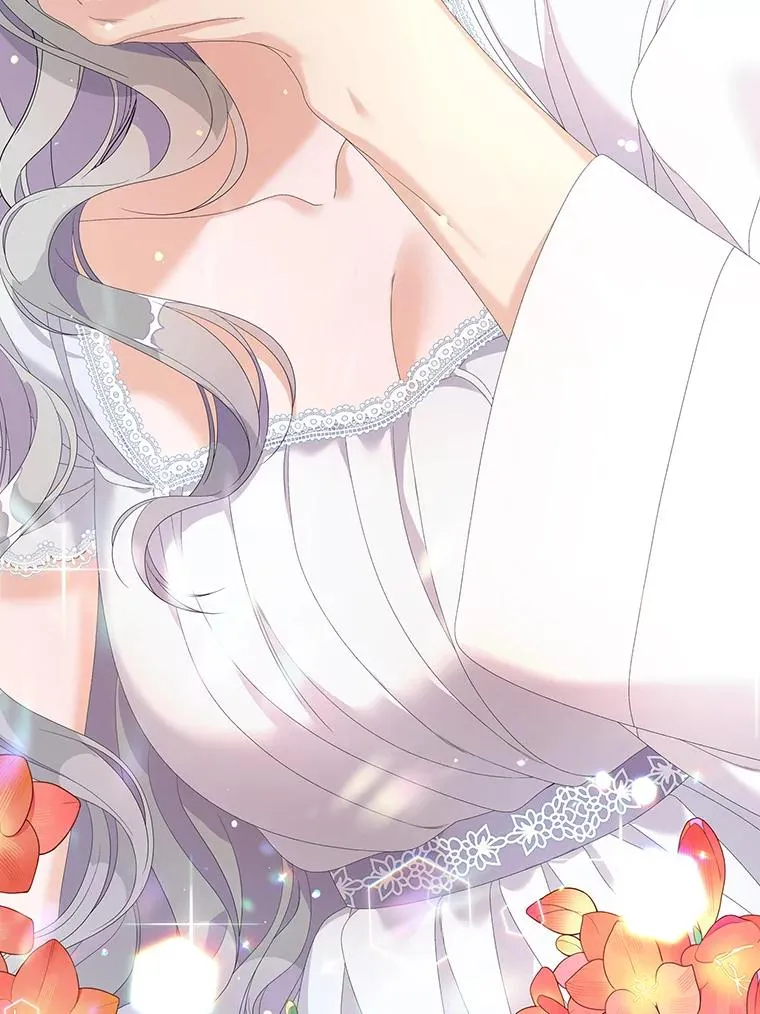 第234页