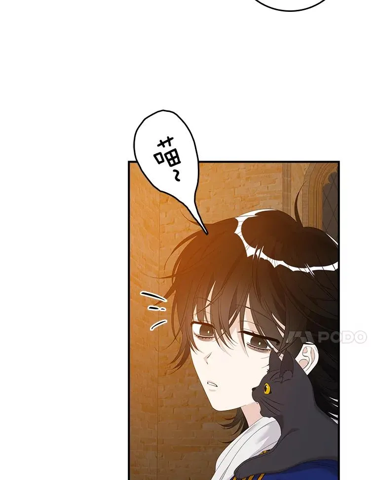 第237页