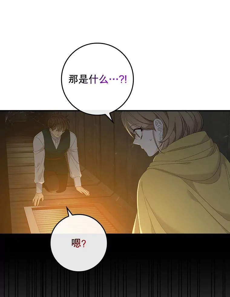 第231页