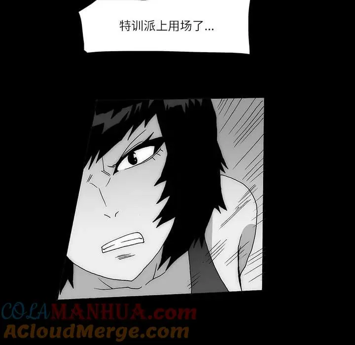 第117页
