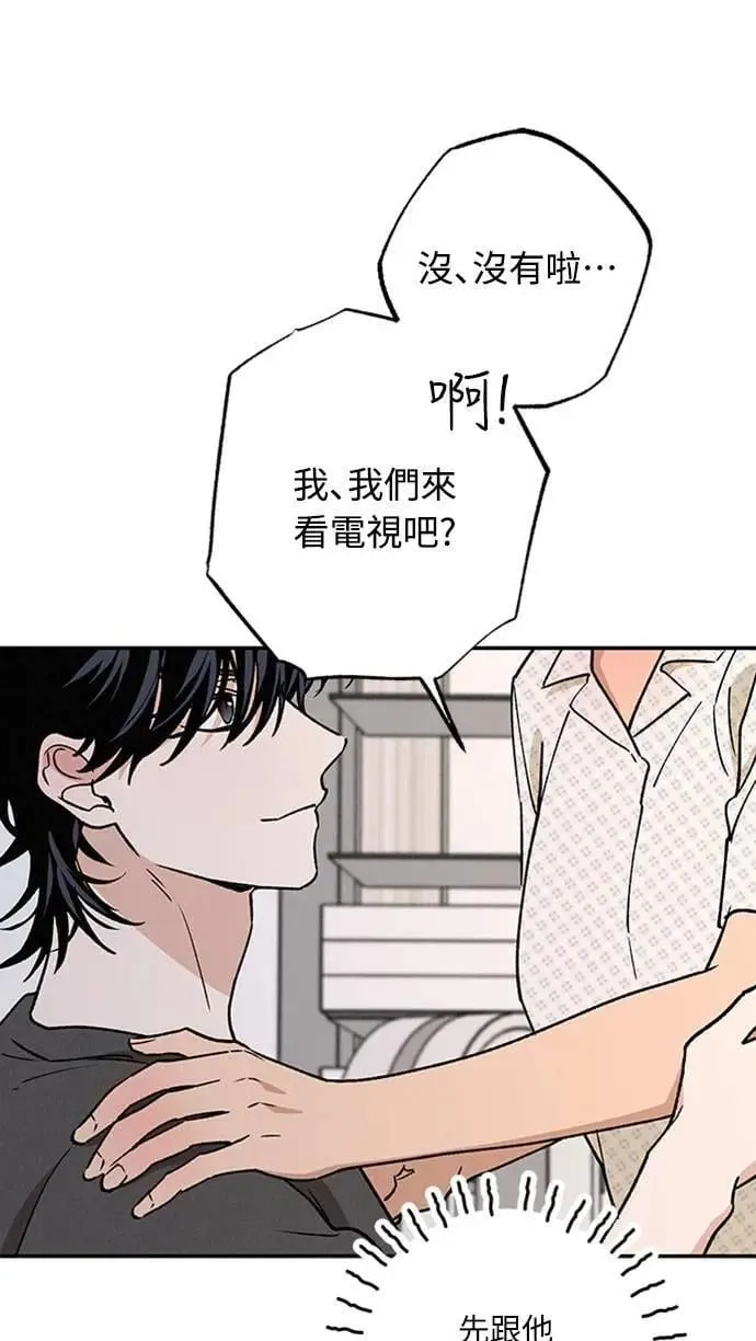 第204页