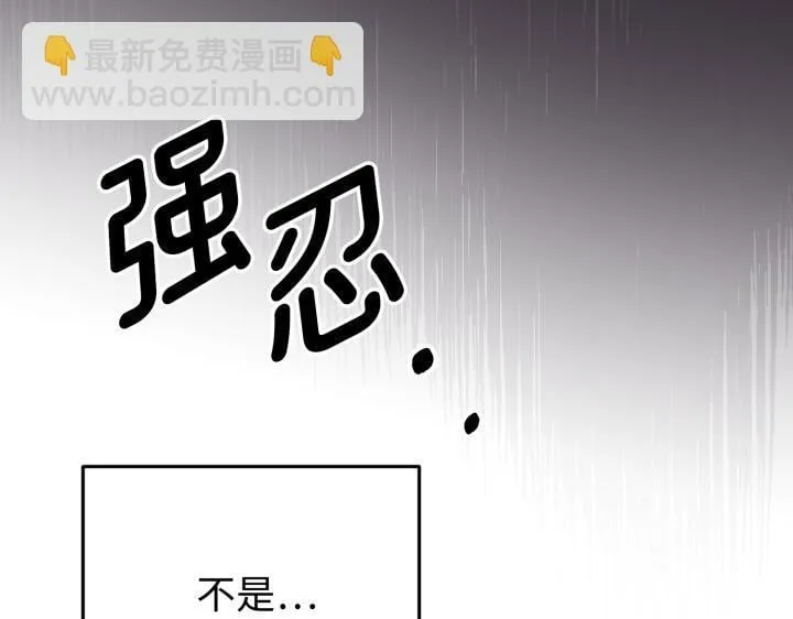 第351页