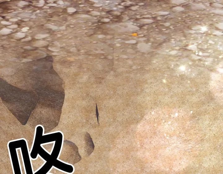 第216页
