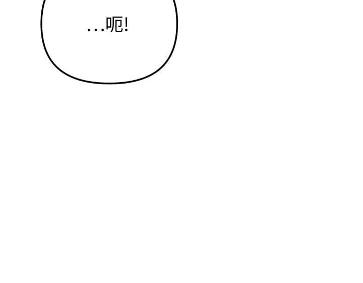 第504页