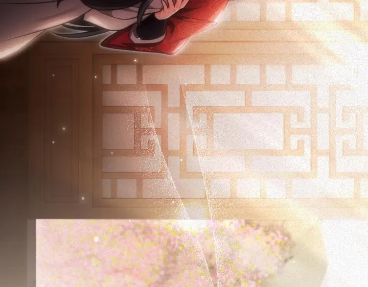 第567页