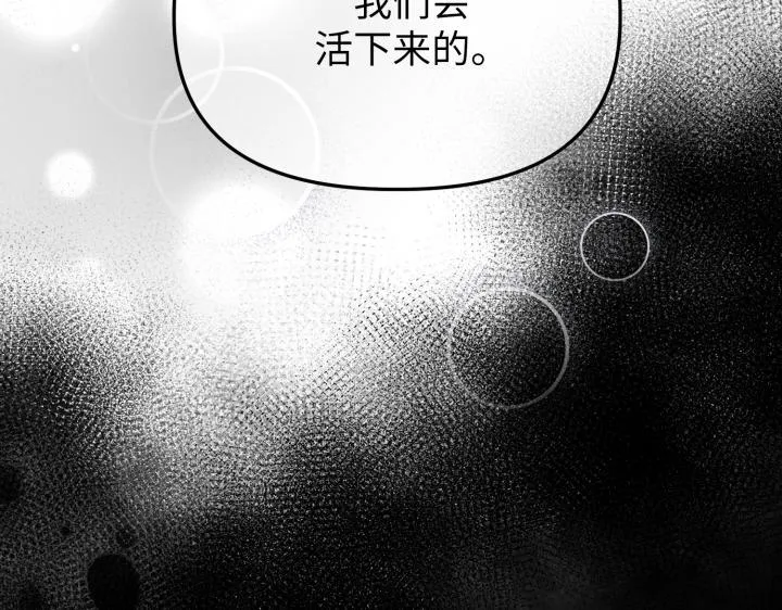 第504页