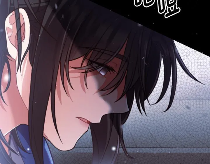 第258页