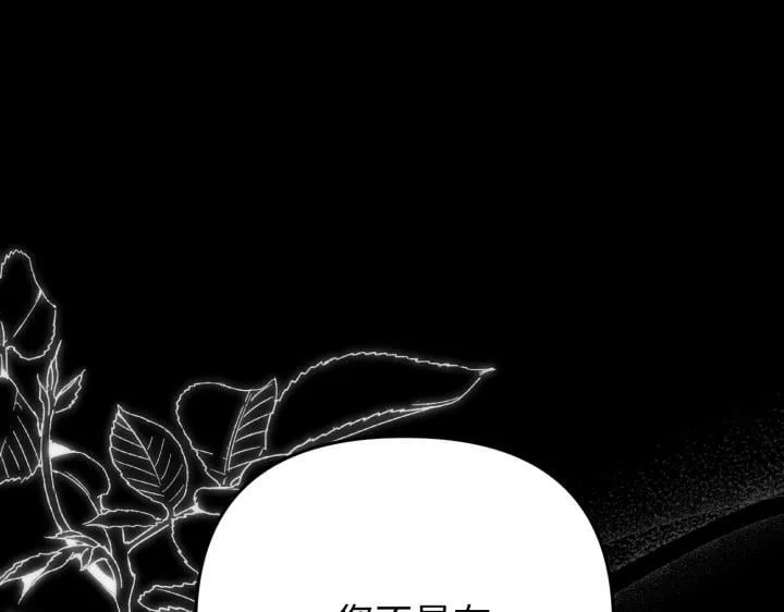 第504页