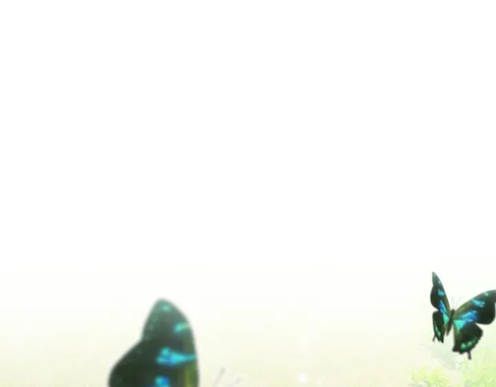 第519页