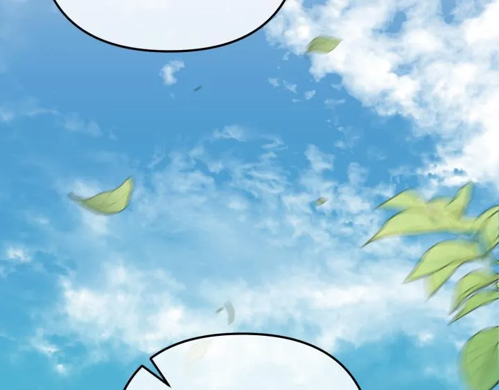 第234页