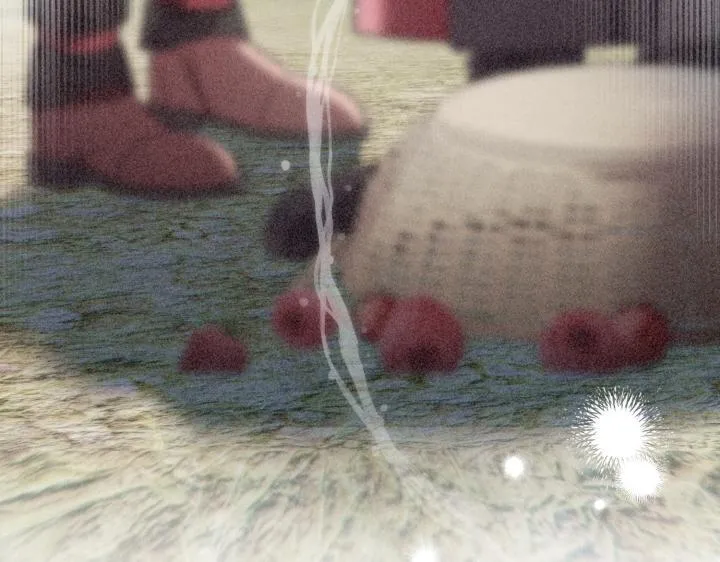 第411页