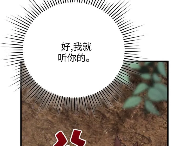 第240页