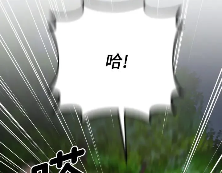 第243页