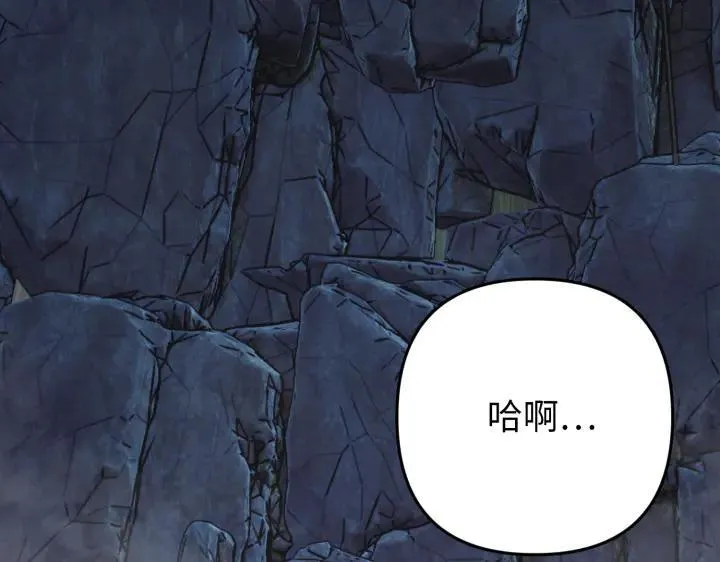 第510页