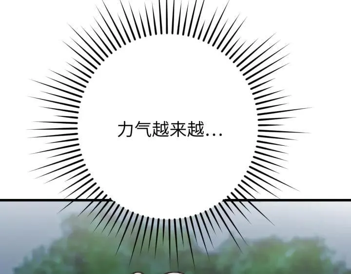 第528页