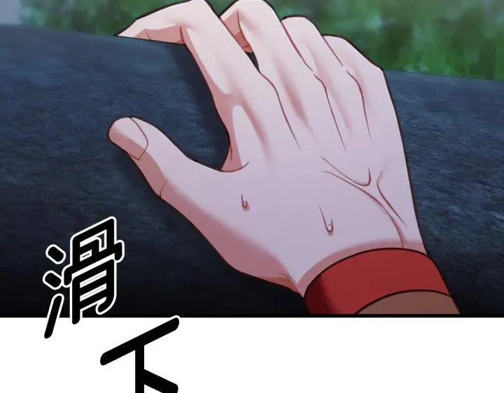 第531页