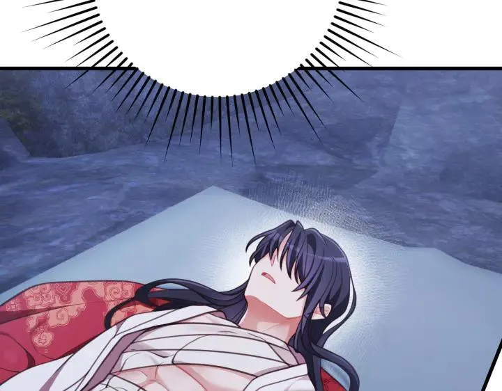 第486页