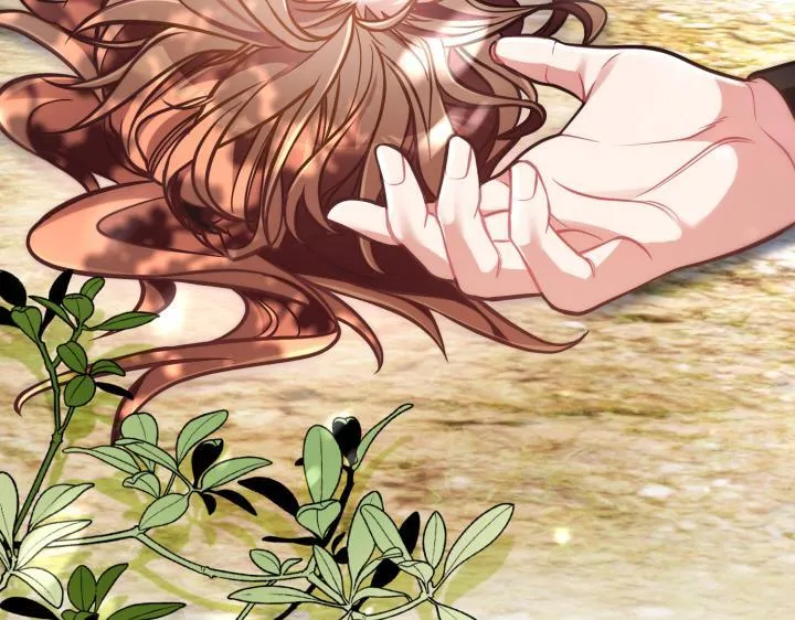 第426页