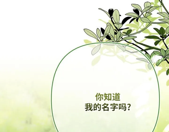 第417页