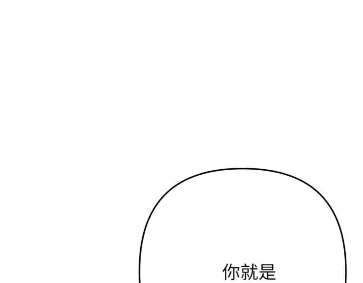 第567页
